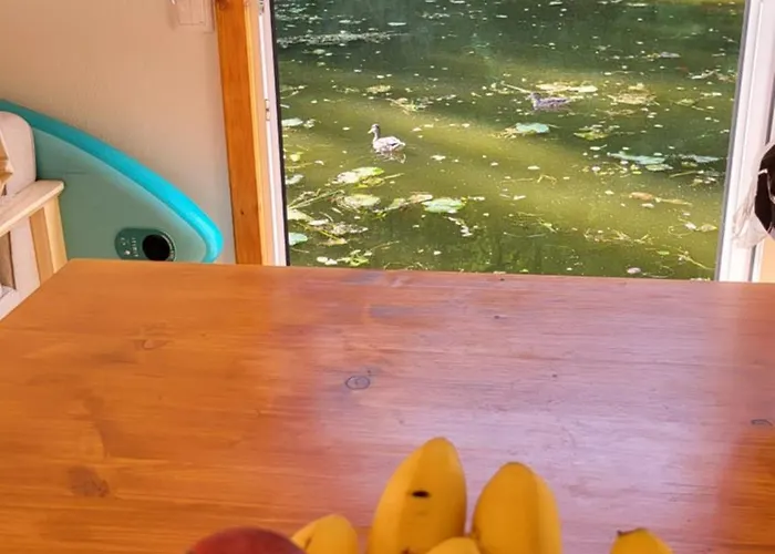 Houseboat ספינת מלון וילנה