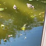 Botel Houseboat Vilnius