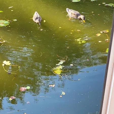 Hotel en barco Houseboat Vilna