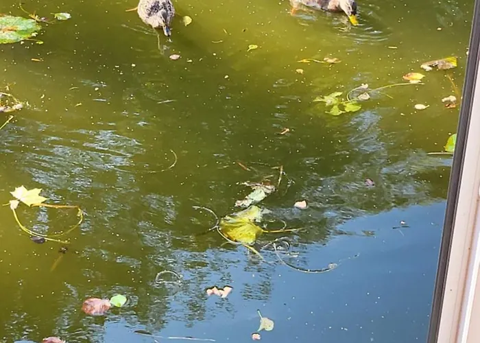 Hotel en barco Houseboat Vilna